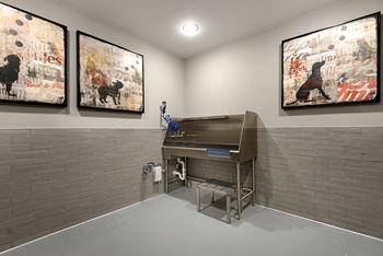 Paw park & parlor to groom furry companions